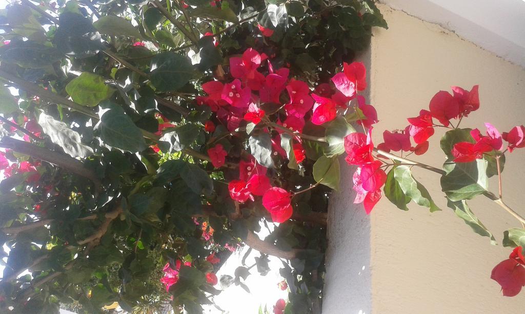 סבורונטה Marketos Apartments מראה חיצוני תמונה